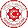 TÜRK KONSEYİ - TÜRK TARİHİ logosu
