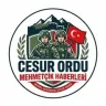 CESUR ORDU - MEHMETCİK HABER logosu